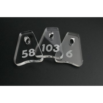 Akryl Schlüsselanhänger - MINIBREL - BA013