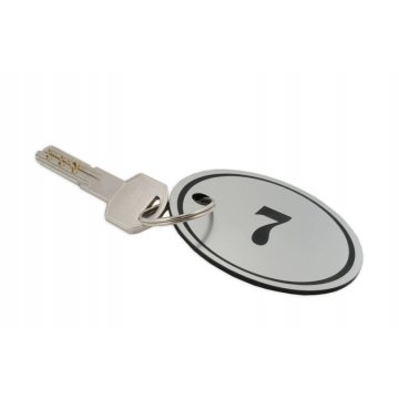 Schlüsselanhänger aus Gravierlaminat - OVAL - SATIN-SILBER