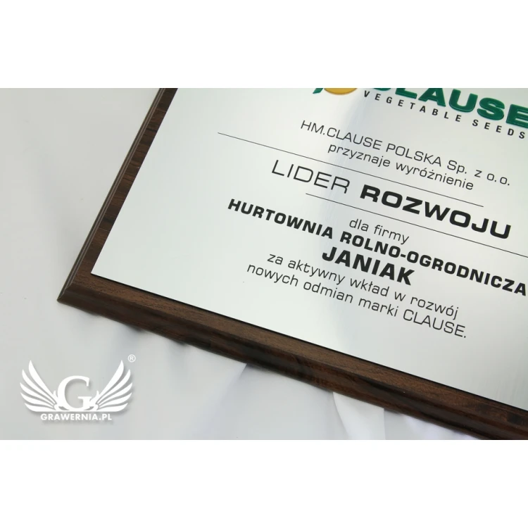 Graviertes Diplom mit erhabenem Logo - horizontal - SL044