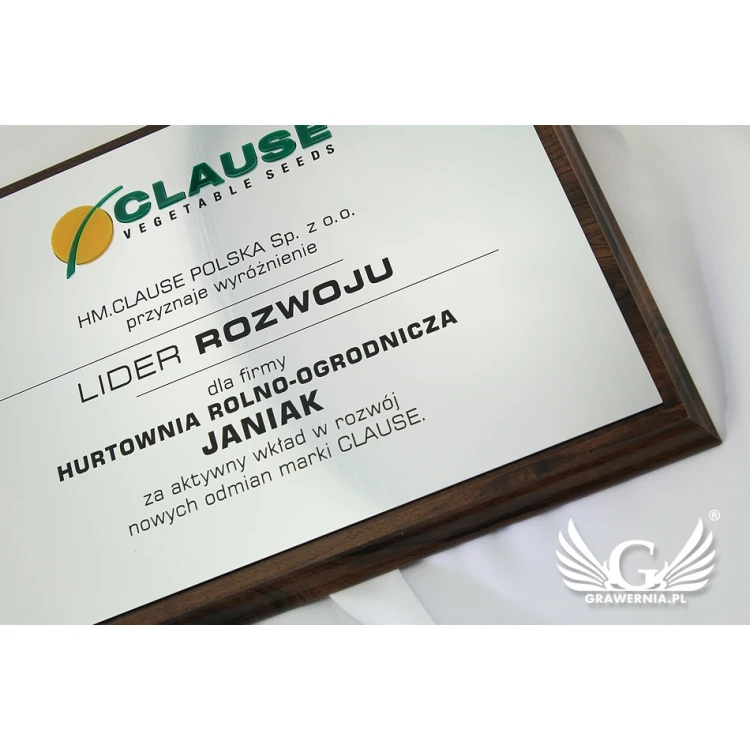 Graviertes Diplom mit erhabenem Logo - horizontal - SL044