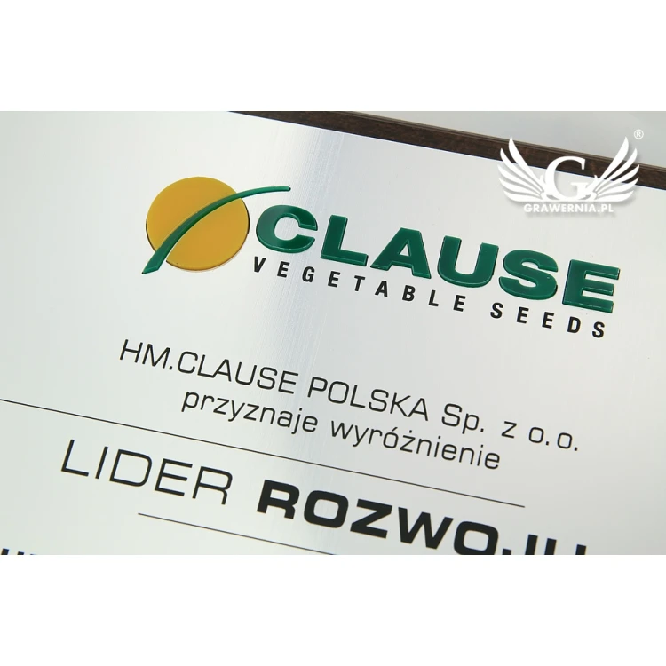 Graviertes Diplom mit erhabenem Logo - horizontal - SL044