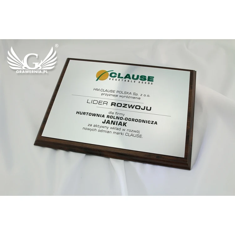 Graviertes Diplom mit erhabenem Logo - horizontal - SL044
