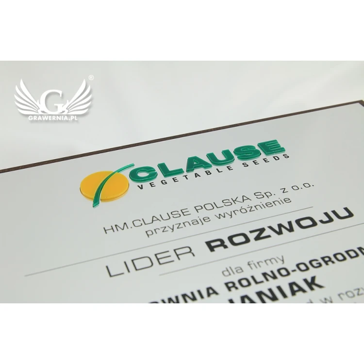 Graviertes Diplom mit erhabenem Logo - horizontal - SL044