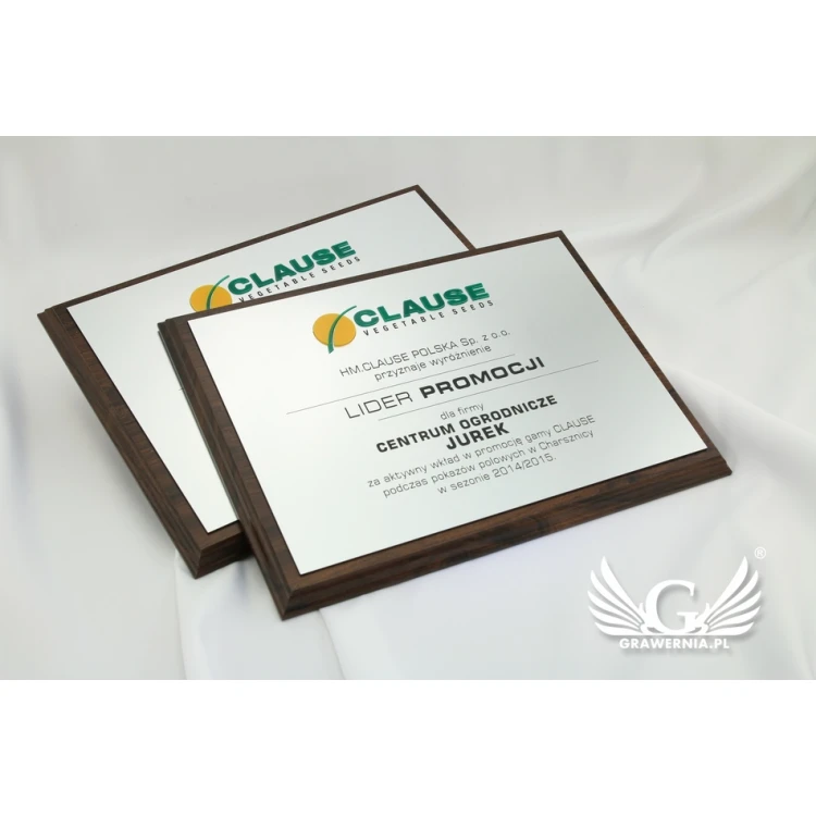 Graviertes Diplom mit erhabenem Logo - horizontal - SL044