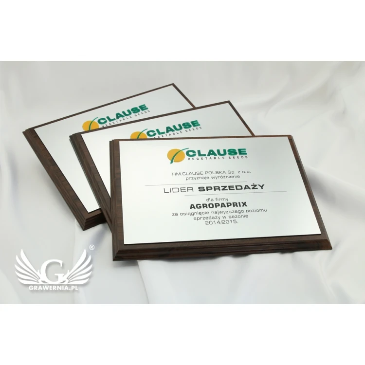 Graviertes Diplom mit erhabenem Logo - horizontal - SL044
