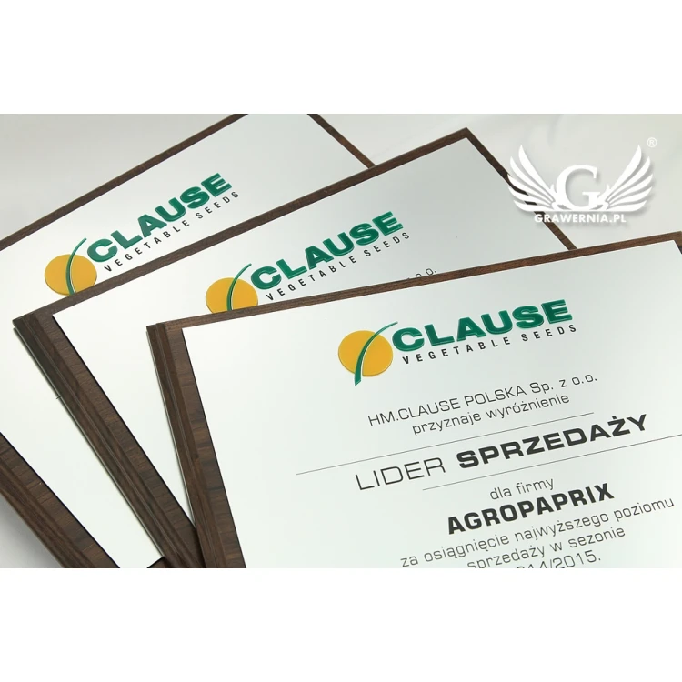Graviertes Diplom mit erhabenem Logo - horizontal - SL044