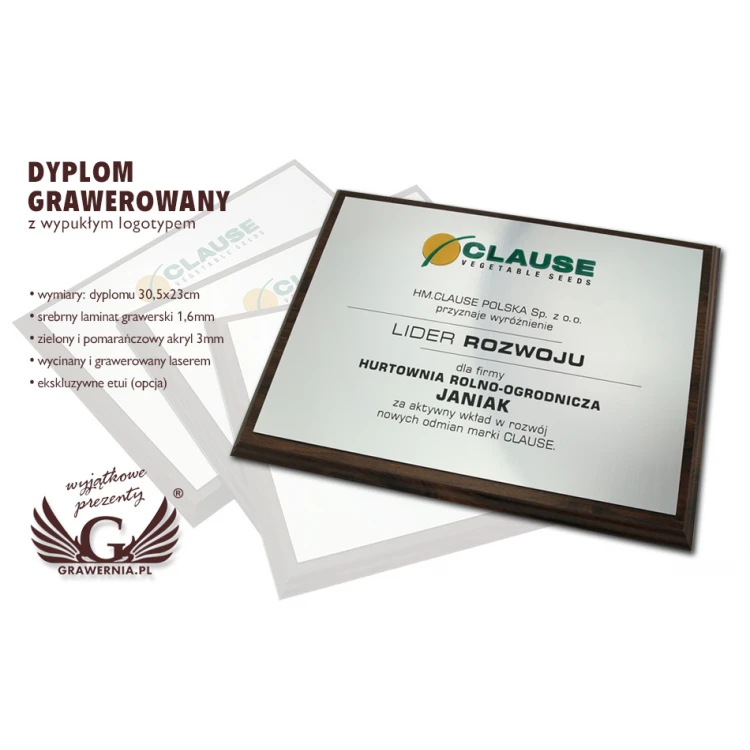 Graviertes Diplom mit erhabenem Logo - horizontal - SL044