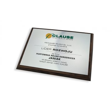 Graviertes Diplom mit erhabenem Logo - horizontal - SL044