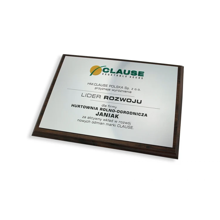 Graviertes Diplom mit erhabenem Logo - horizontal - SL044