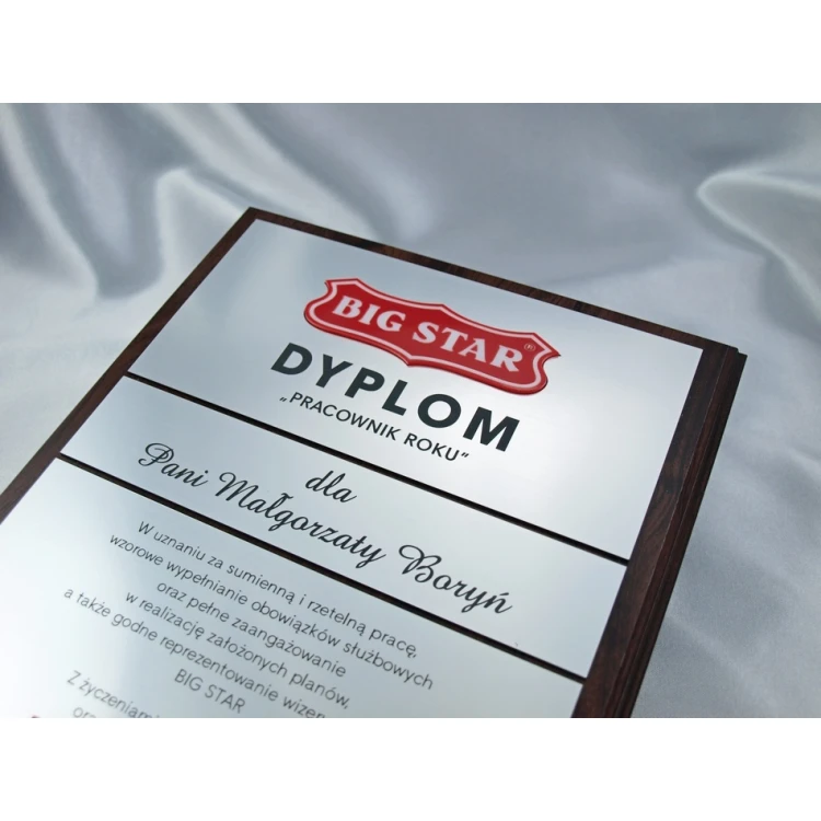 Diplom - MITARBEITER DES JAHRES - mit zwei erhabenen Logos - SL028