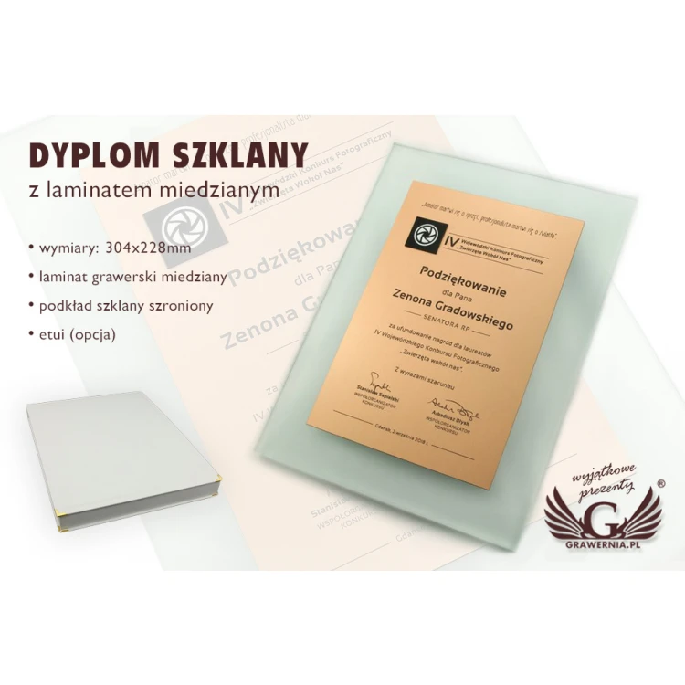 Anerkennungsurkunde - DSZ049