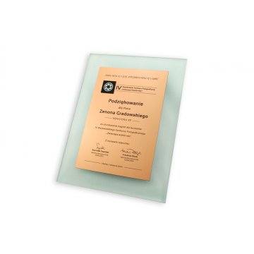 Anerkennungsurkunde - DSZ049