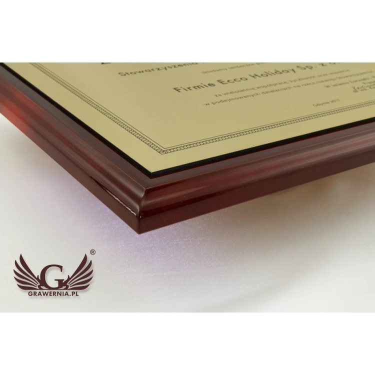 Anerkennungsurkunde Exclusive mit farbigem Logo - horizontal - DCE004