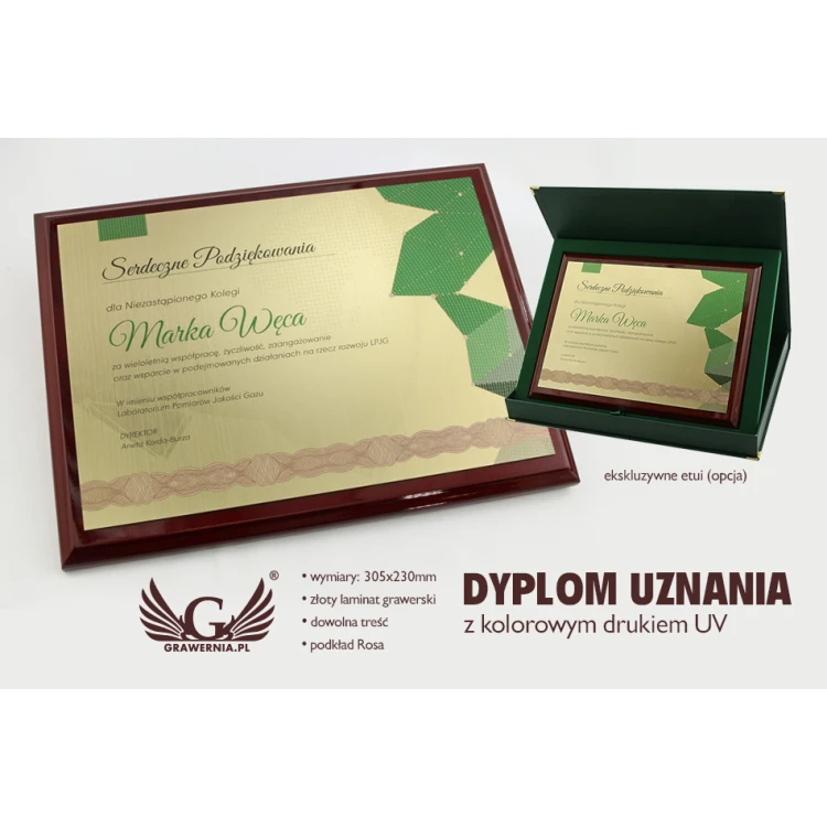 Anerkennungsurkunde Exclusive mit farbigem UV-Druck - horizontal - DCE005