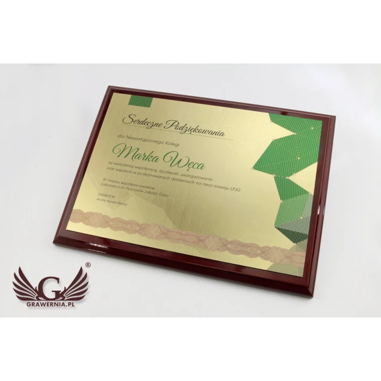 Anerkennungsurkunde Exclusive mit farbigem UV-Druck - horizontal - DCE005