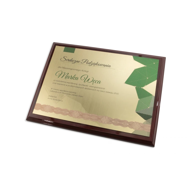 Anerkennungsurkunde Exclusive mit farbigem UV-Druck - horizontal - DCE005