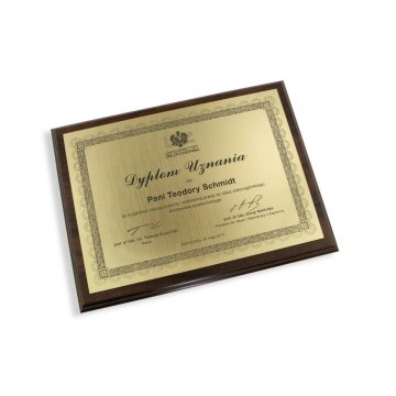 LASERGRAVIERTE ANERKENNUNGSURKUNDE - horizontal - DS031