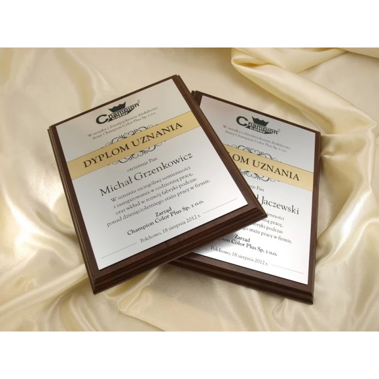 ANERKENNUNGSURKUNDE Silber-Gold - DS032
