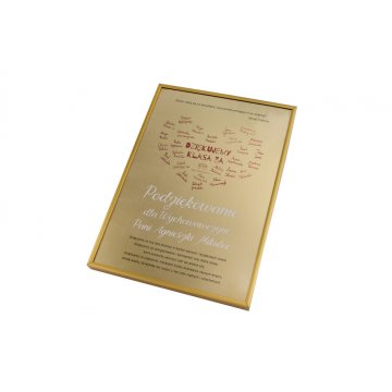 Diplom in goldenem Rahmen - Dankeschön für den Lehrer - DWR11