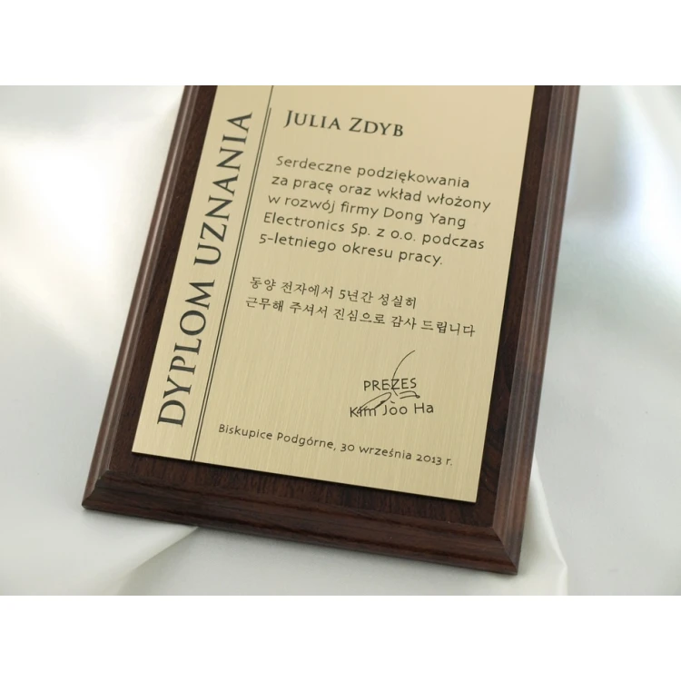 DIPLOM MD1 - DS020