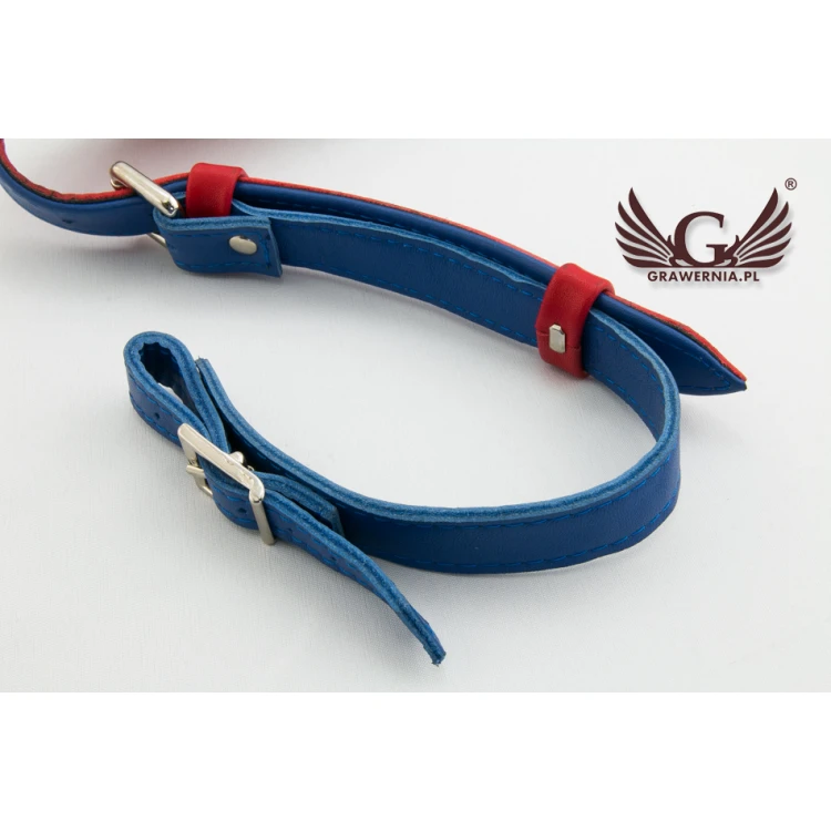 KOMPLETTSET GURTE FÜR AKKORDEON rot-blau - Modell Reeds - Komfort Version - PDA004
