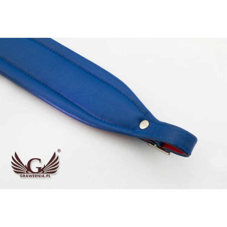 KOMPLETTSET GURTE FÜR AKKORDEON rot-blau - Modell Reeds - Komfort Version - PDA004