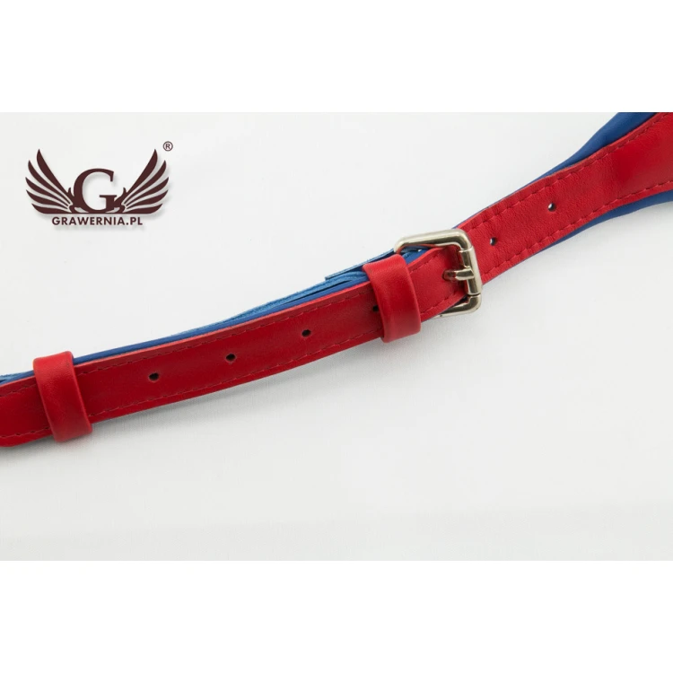 KOMPLETTSET GURTE FÜR AKKORDEON rot-blau - Modell Reeds - Komfort Version - PDA004