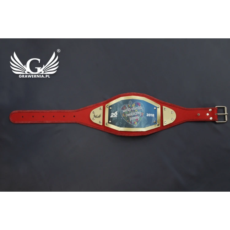 Kleiner Champion Meistergürtel - MP003