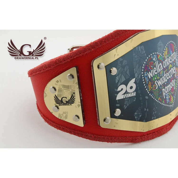 Kleiner Champion Meistergürtel - MP003