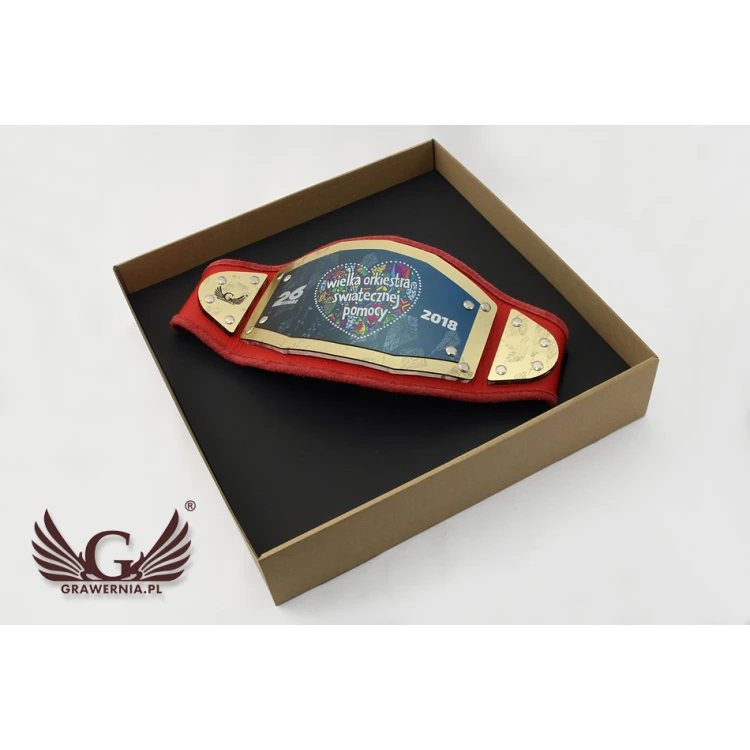 Kleiner Champion Meistergürtel - MP003