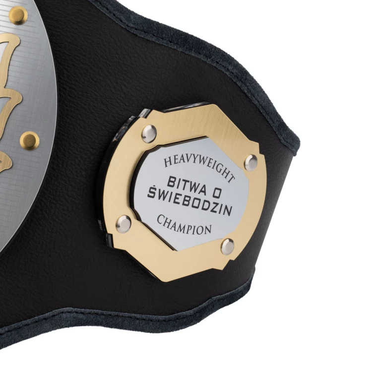 Champion Meistergürtel - P061