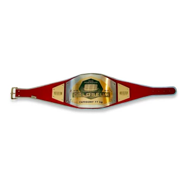 MEISTERGÜRTEL CHAMPION - MMA - P004