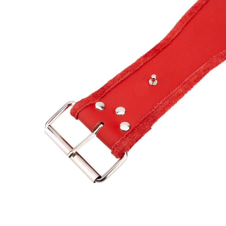 Champion Meistergürtel - P063