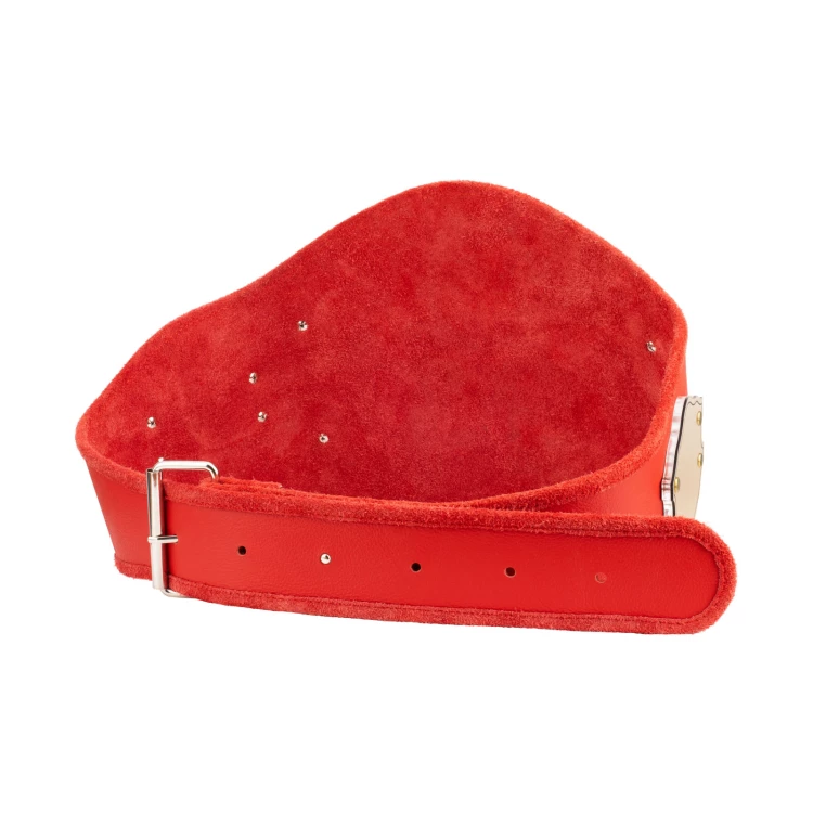 Champion Meistergürtel - P063