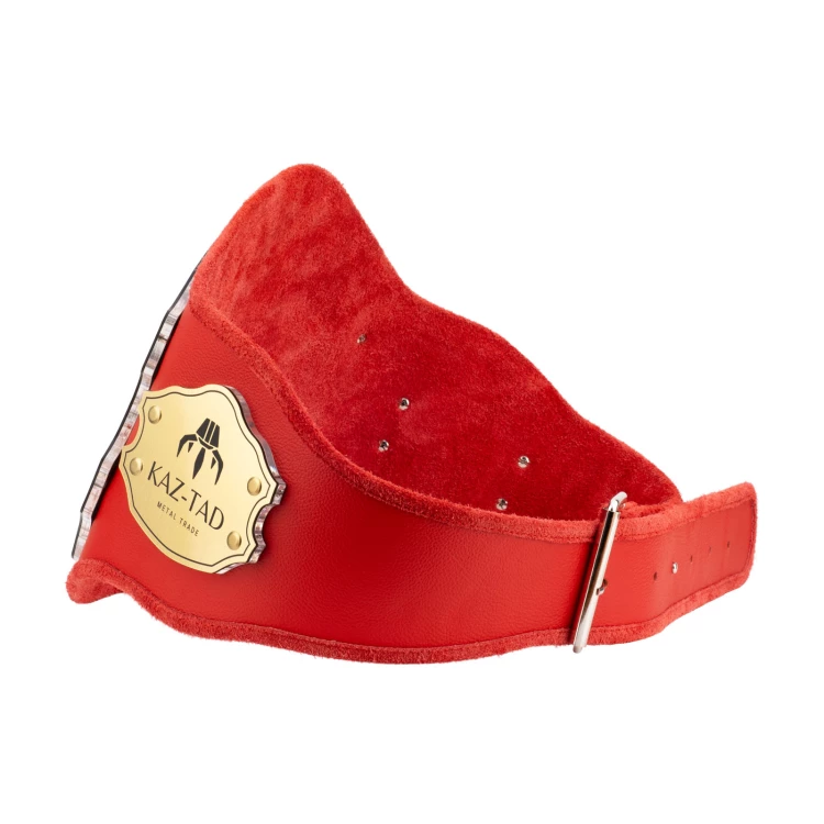 Champion Meistergürtel - P063
