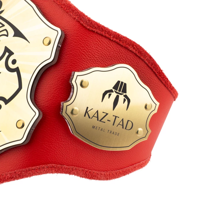 Champion Meistergürtel - P063