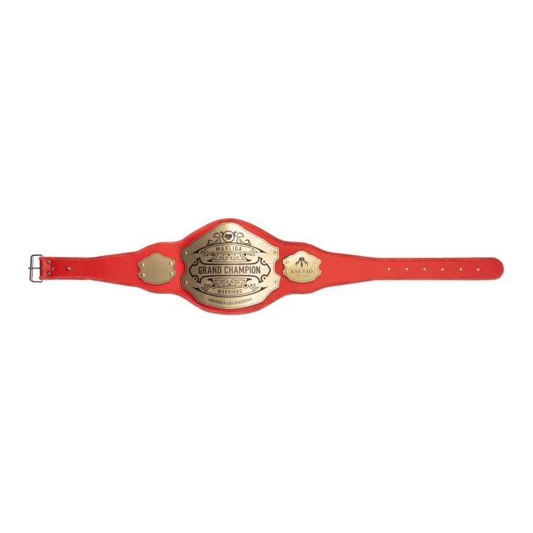 Champion Meistergürtel - P063