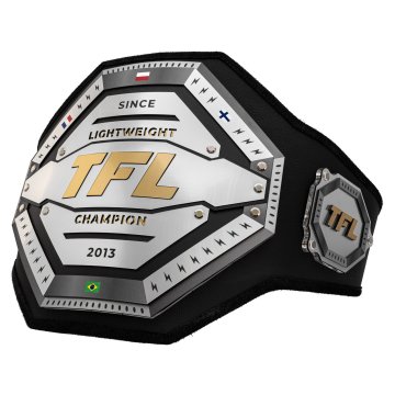 Achteckiger Meisterschaftsgürtel mit Personalisierungsmöglichkeit - einzigartiges Geschenk für einen Sportler - Größe 132x28,8 cm - P070