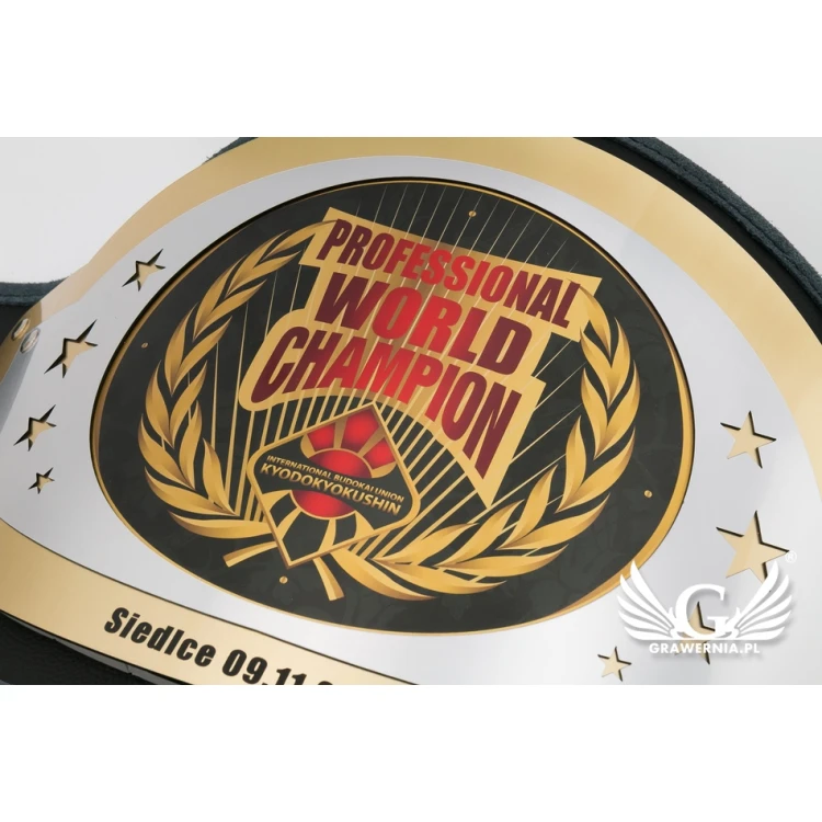 PROFESSIONAL WORLD CHAMPION GÜRTELTITEL - P043
