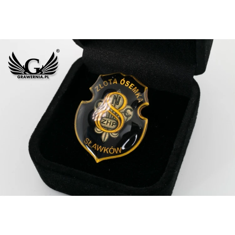 Messing Pins - gewölbtes 3D Doming - beliebiges Logo - PWD001