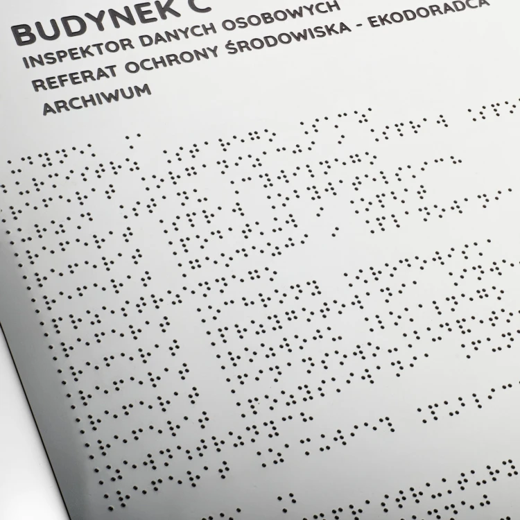 Tyflographischer Plan mit Braille-Schrift und austauschbarem Element - Maße: 1000x650mm - TAB519