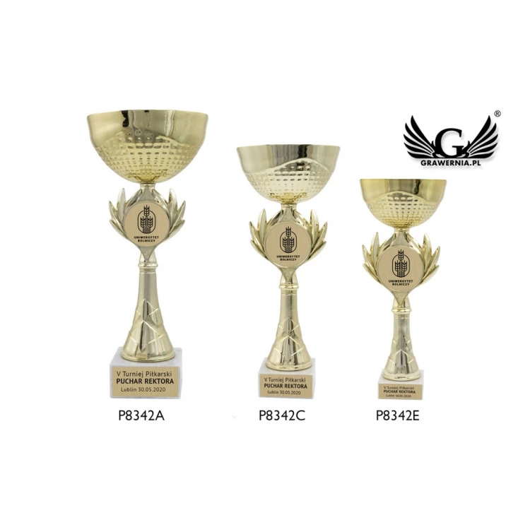 ELBA Pokal - Gold - P8342