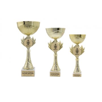 ELBA Pokal - Gold - P8342