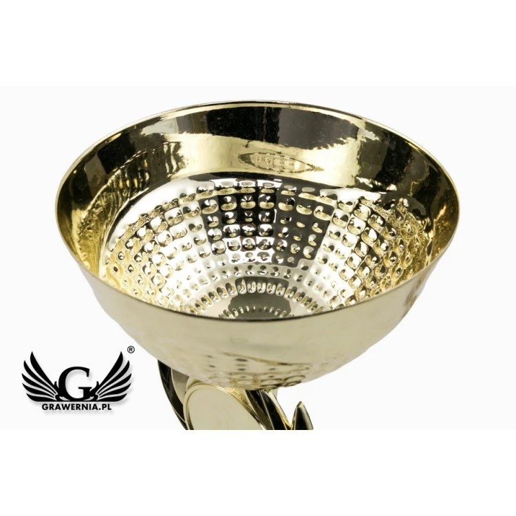 ELBA Pokal - Gold - P8342
