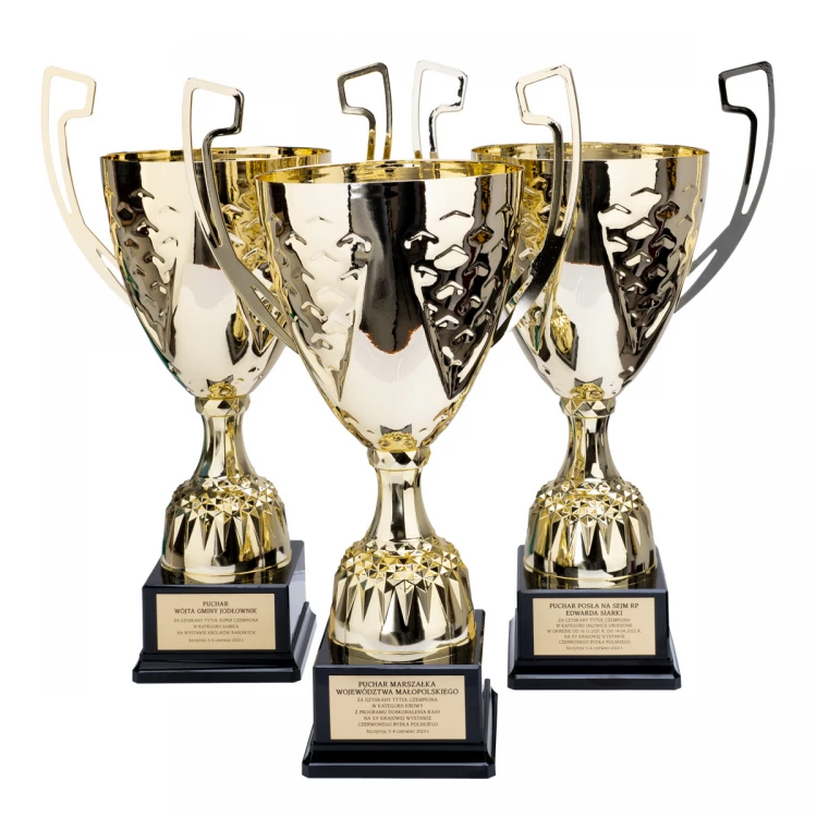 Nelson Pokal mit graviertem Schild - Gold - P4194A