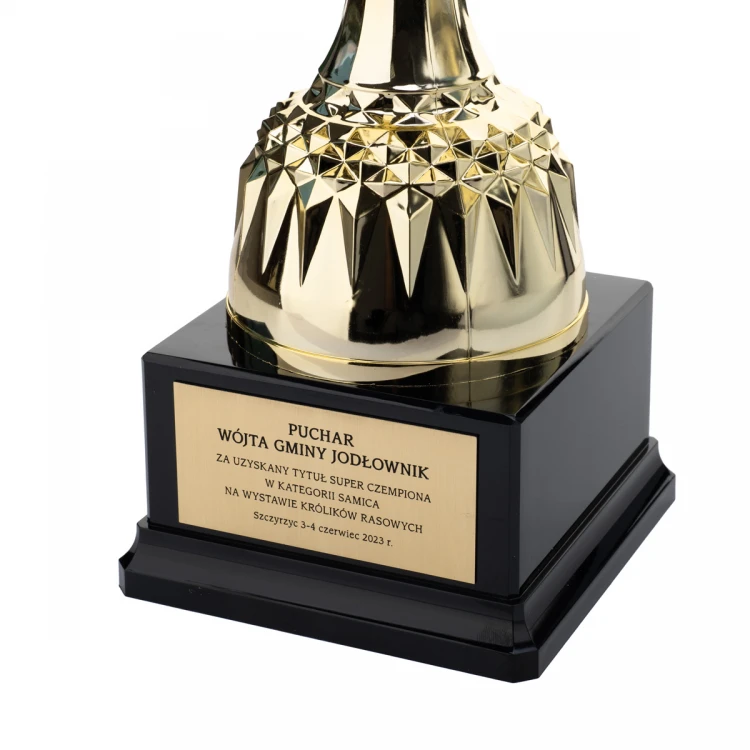 Nelson Pokal mit graviertem Schild - Gold - P4194A