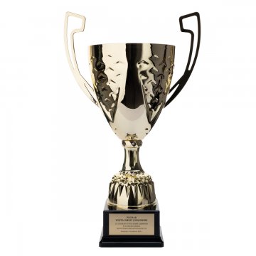 Nelson Pokal mit graviertem Schild - Gold - P4194A