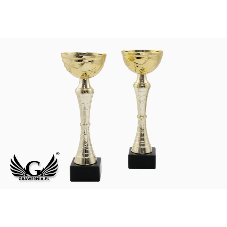 Patrick Pokal - Gold - P9251
