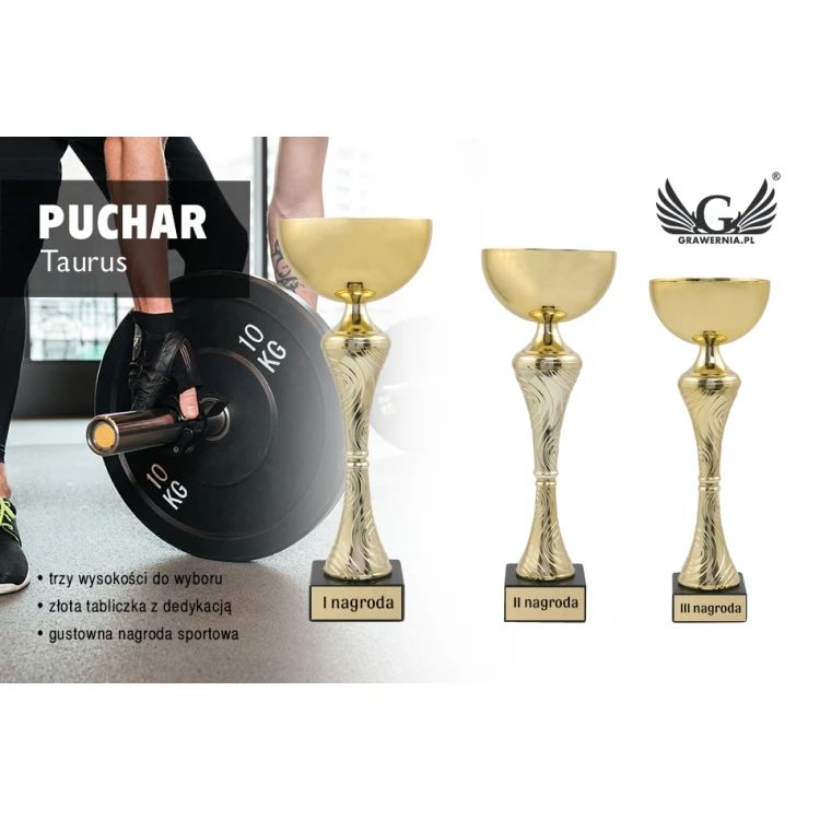 TAURUS Pokal - Gold - P8356