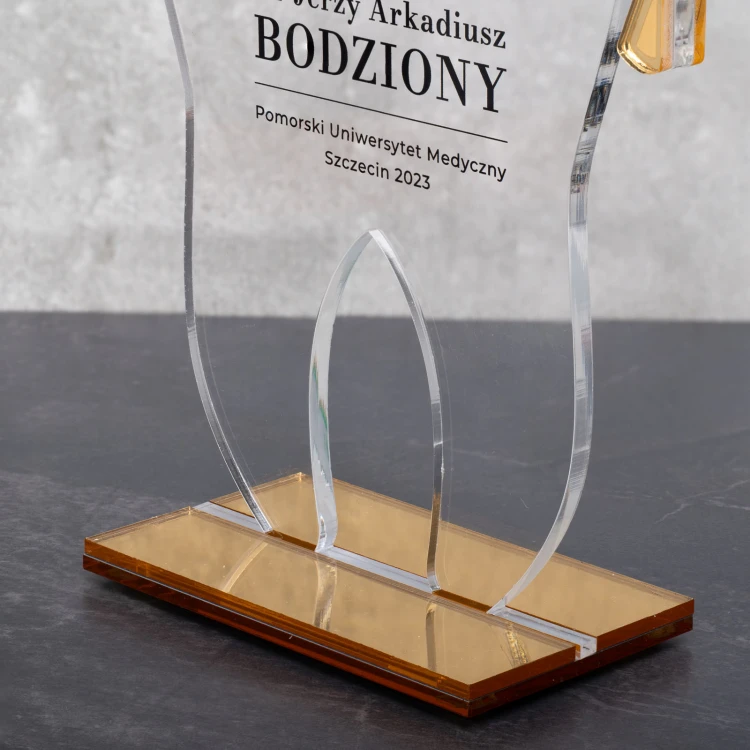 Akrylstatuette Zahn - Höhe 200mm - DTA086